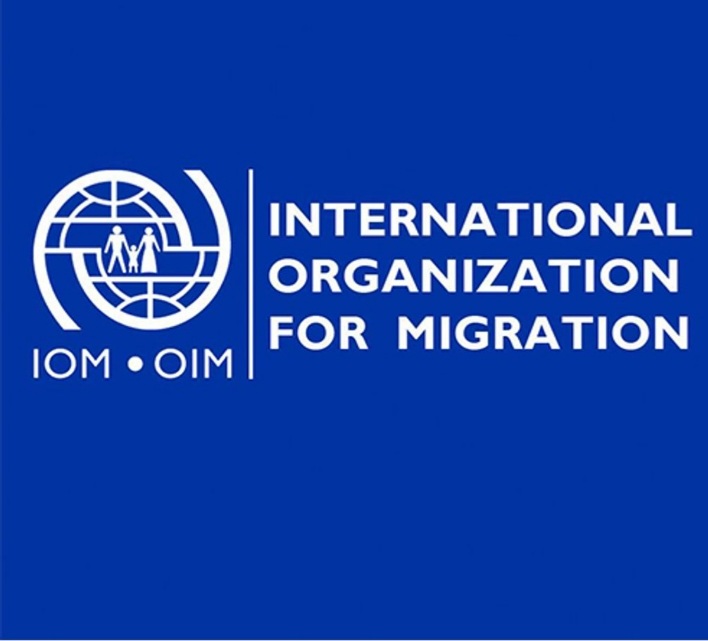 L'organisation intrnantionale de la migration (OIM) dans ses actions de rapatriment et de prise en charge des immigrés rapatriés pour leurs